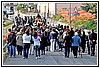 10D 2565.jpg