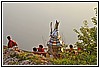 10E_4455.jpg