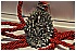05.05.11 079 - 194 KB