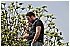 08.05.11 396 - 175 KB