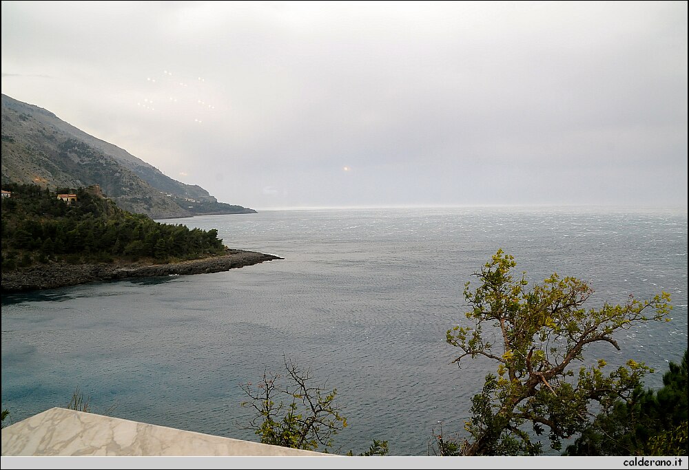 DSC_5797.JPG