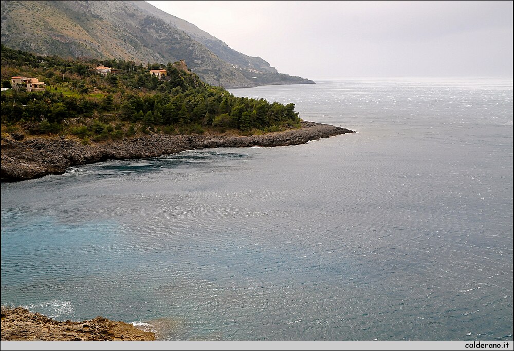 DSC_5808.JPG