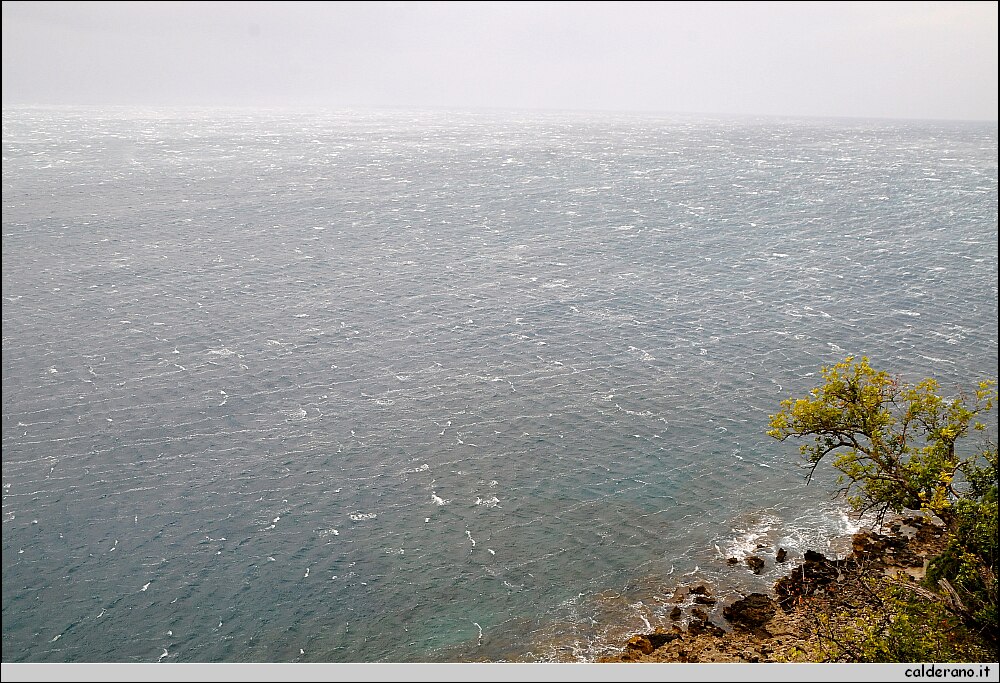 DSC_5809.JPG