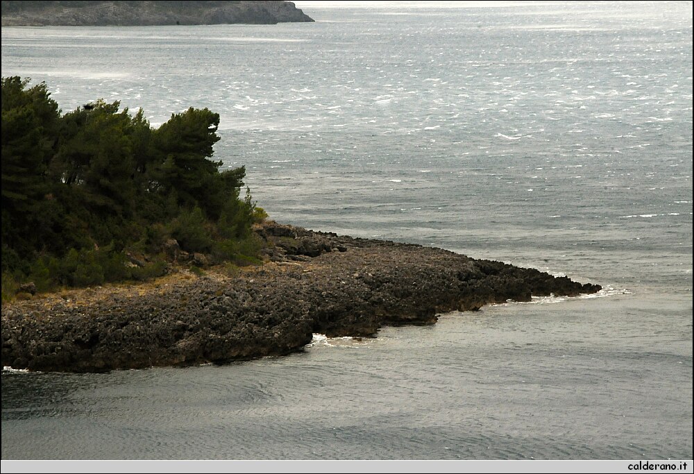 DSC_5813.JPG