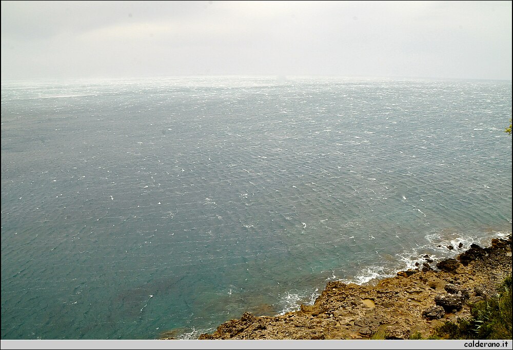 DSC_5814.JPG