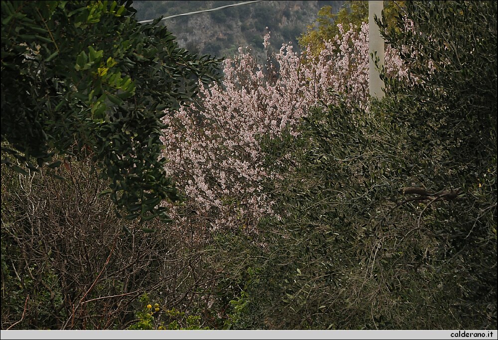 DSC_5815.JPG