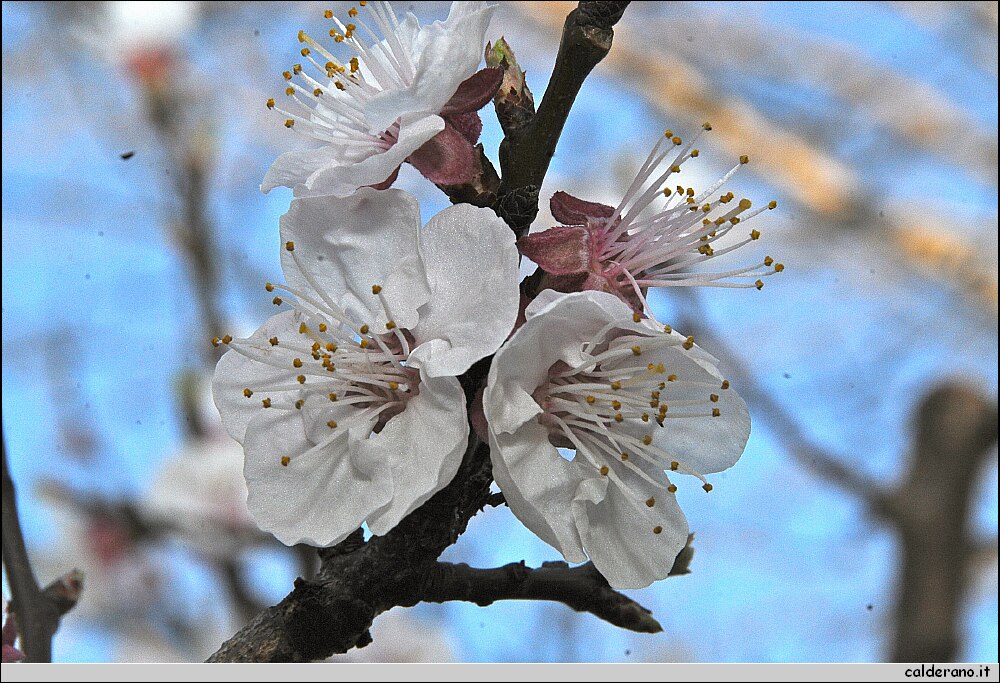 DSC_6028.JPG