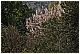 DSC_5815 - 310 KB