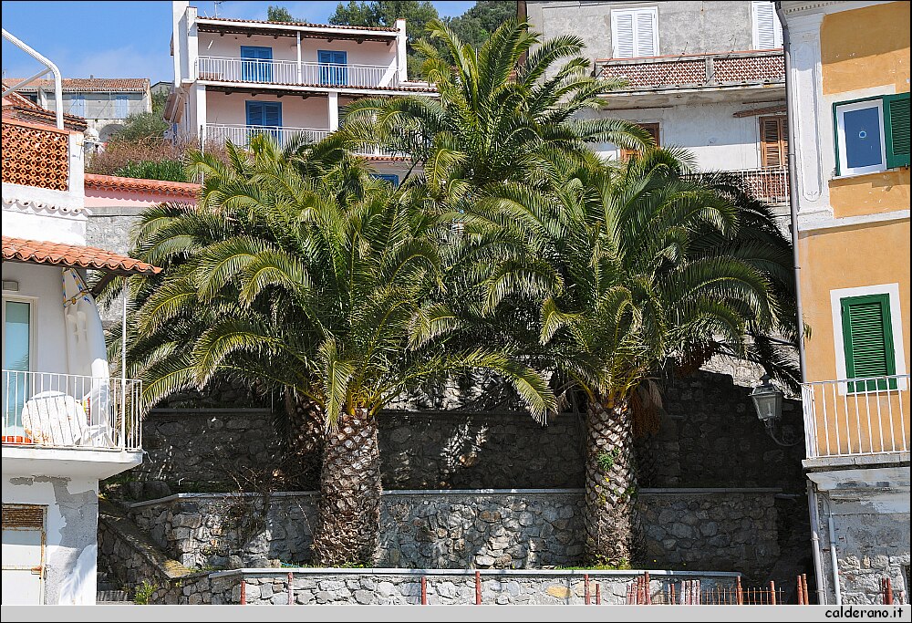 DSC_5669.JPG