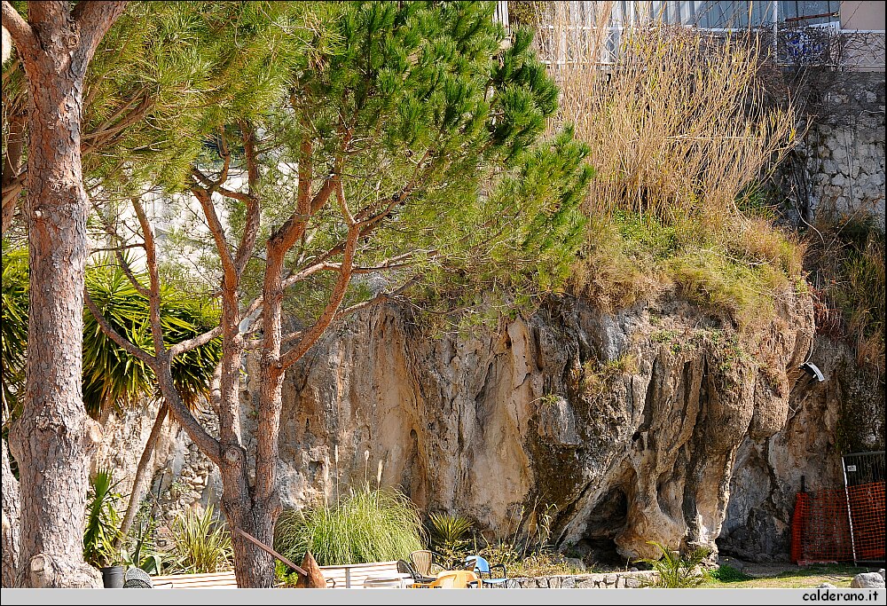 DSC_5673.JPG