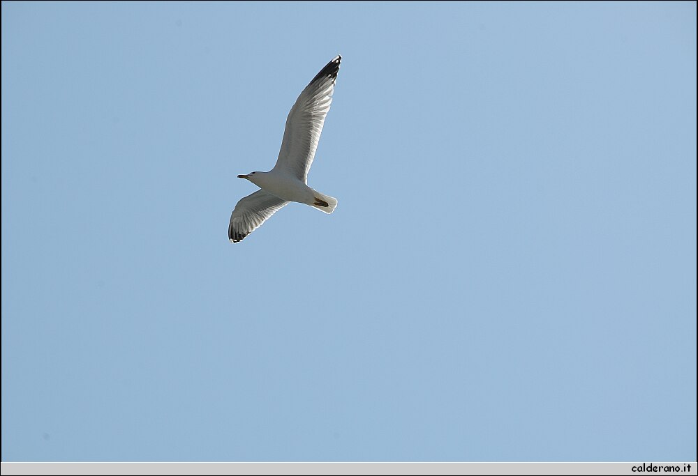 DSC_5677.JPG