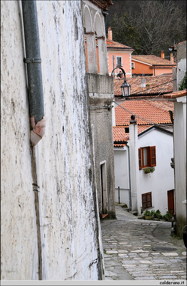 DSC_5685.jpg