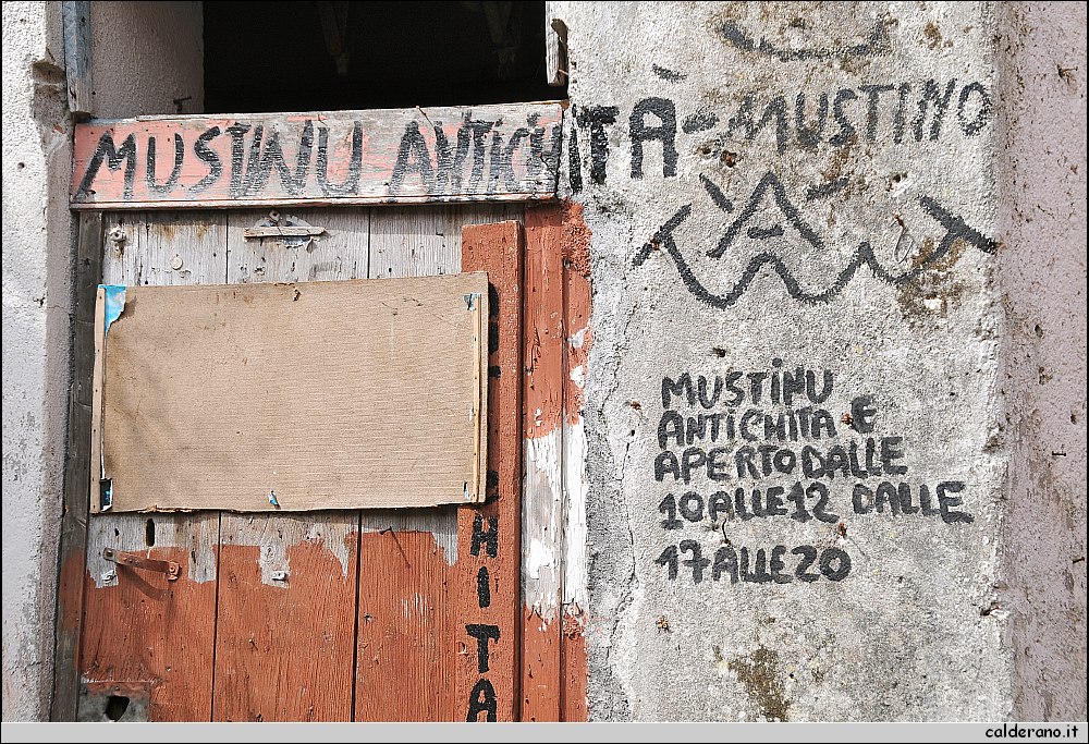 DSC_6065.JPG