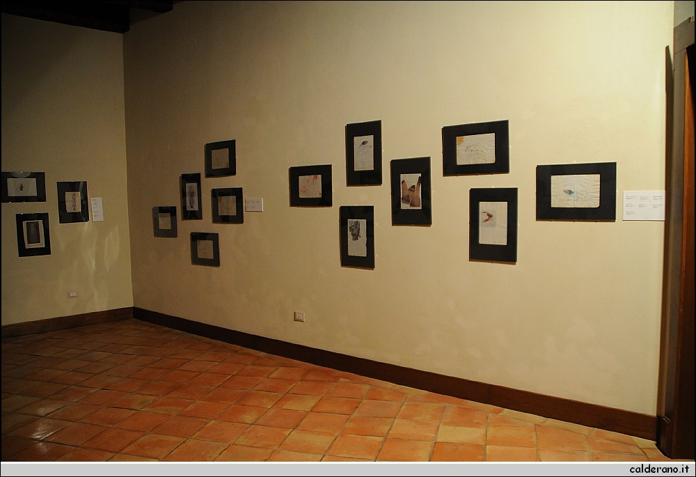 BBB_0817.JPG