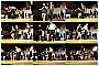 BBB_3118a - 227 KB