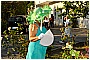 BBB_3272 - 271 KB