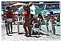BBB_3516 - 303 KB