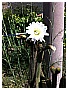 aaa_0217 - 345 KB