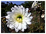 aaa_0218 - 238 KB