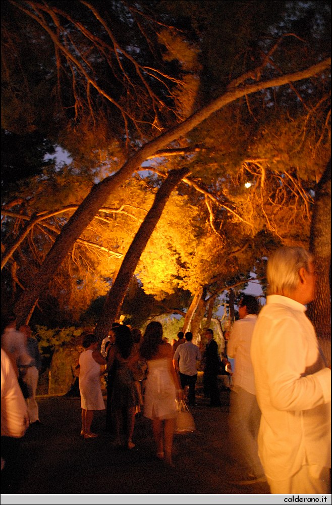 1030 010809 214527.JPG