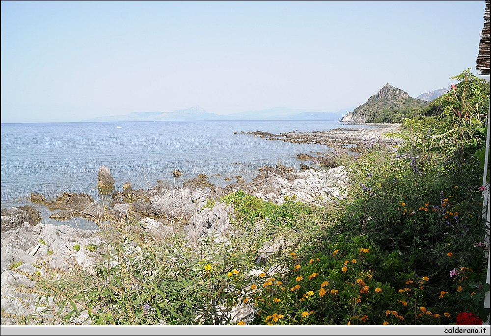 BBB_4278.JPG