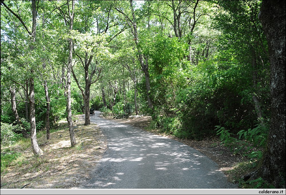 BBB_4370.JPG
