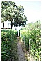 BBB_4256 - 339 KB