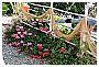 BBB_4296 - 369 KB