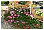 BBB_4297 - 367 KB