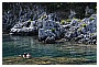 BBB_4299 - 245 KB