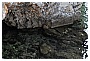 BBB_4310 - 182 KB