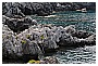 BBB_4311 - 308 KB