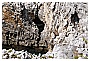 BBB_4364 - 372 KB