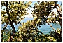 BBB_4606 - 438 KB