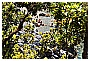 BBB_4608 - 351 KB