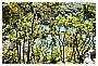 BBB_4609 - 487 KB