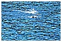 BBB_4628 - 333 KB