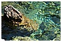 BBB_4632 - 249 KB