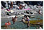 BBB_4633 - 311 KB
