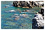 BBB_4634 - 336 KB