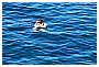 BBB_4637 - 178 KB