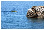 BBB_4658 - 261 KB