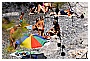 BBB_4665 - 298 KB