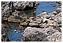 BBB_4670 - 306 KB