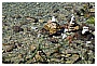 BBB_4678 - 286 KB
