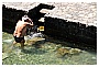 BBB_4685 - 203 KB