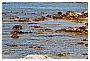 BBB_4690 - 278 KB