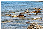 BBB_4692 - 290 KB