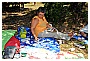 BBB_4737 - 308 KB