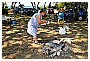 BBB_4776 - 371 KB